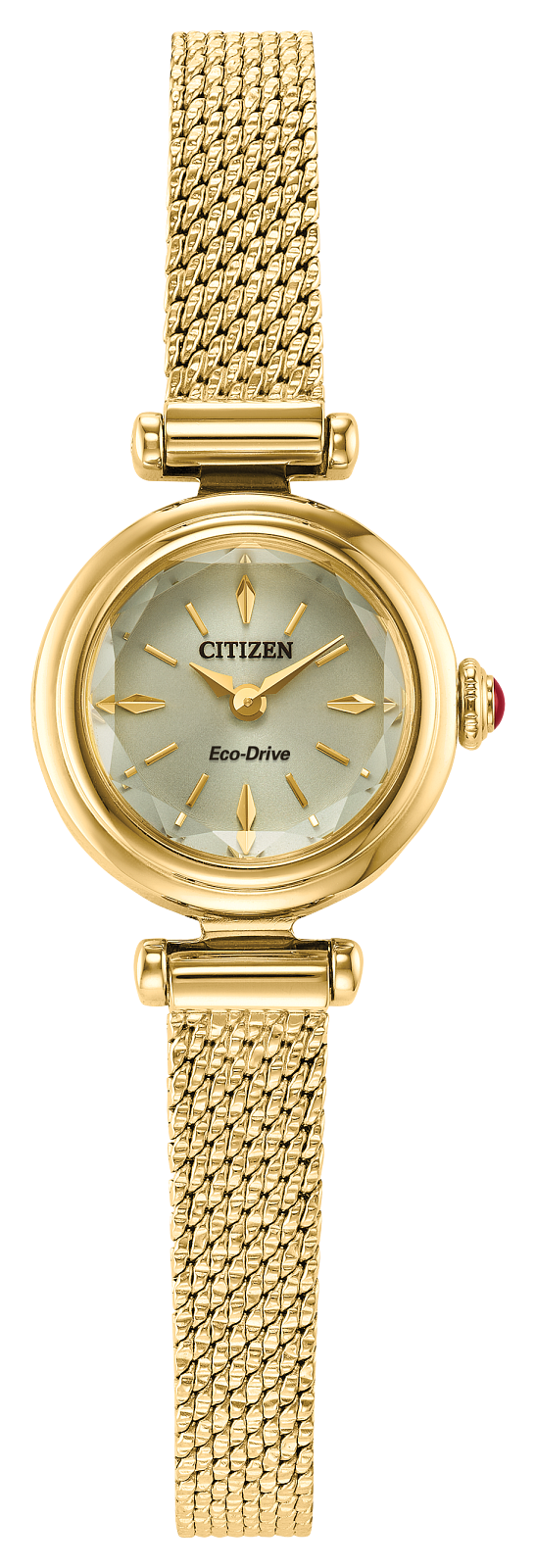 Watches & clocks: Eco-Drive Fio Ladies Citizen Watch